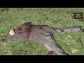 Survive: "Day Z" ft. Aleks, Sketch, Todd & Nova | Episode 15: Petrol Patrol
