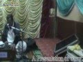Kaliaan Akhiaan Saam ke Rakhian by Legend Singer Ashraf Hazara - Live in Karachi
