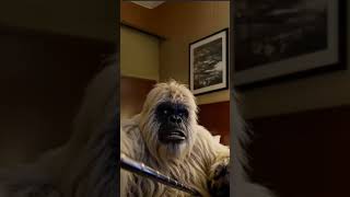 Big Foot Does Telemarketing