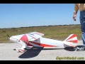 Dave Patrick clipped wing Super Cub, 1/4 scale, electric