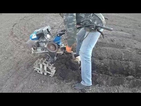 Посадка и обработка мотоблоком Посадка и обработка мотоблоком