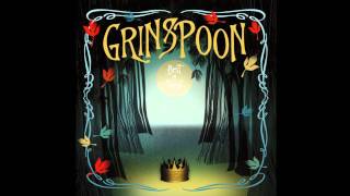 Watch Grinspoon More Than You Are video