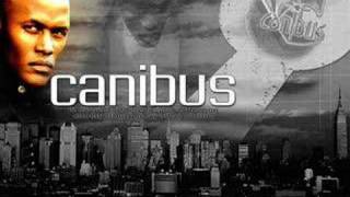 Watch Canibus Nigganometry video