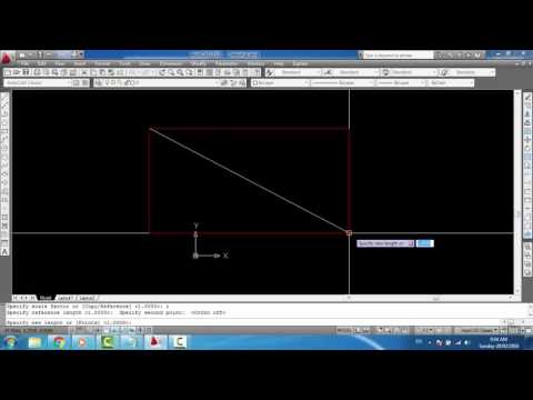 Thực hiện lệnh scale cơ bản bất kỳ trong autocad