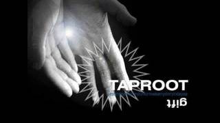 Watch Taproot Mirrors Reflection video