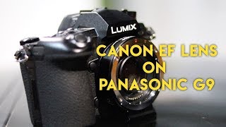 Commlite Ef Lens-Mft Review - Upgrading My Panasonic G9 To Aps-C & Testing It Out In Low Light
