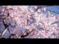 Shiki No Uta by Seri Yoko - karaoke video