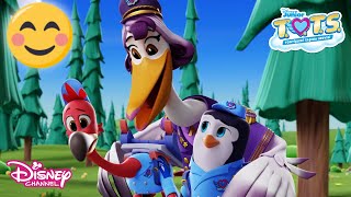 Her Şey Mükemmel Tontişleri Taşıma Servisi T.o.t.s. Disney Channel Tr