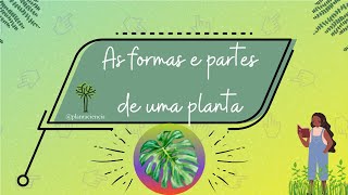 Experimento 5 - As formas e partes de uma planta