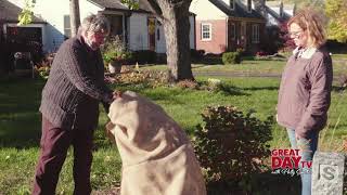 Secrets to a winter garden