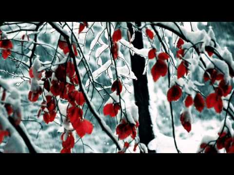 Algerie: Samir Toumi & Fella - Ya Chams HD فلة الجزائرية وسمير تومي -شمس