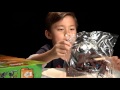 DESTINY'S BOUNTY - Lego NINJAGO Set 9446 - Time-lapse/Stop Motion Build, Unboxing & Review