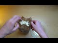 butter and popcorn