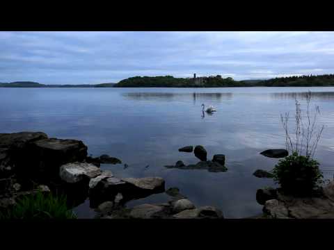 Relax by the lake shore - tranquil sounds of nature