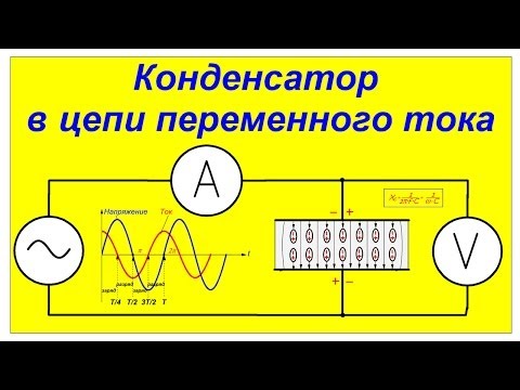 Загородный комплекс отдыха Авангард в Саратове Жирные волосы. Уход за жирными волосами: как мыть, шампуни