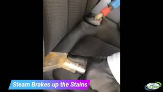 Steam Cleaning Seats to Remove Stains | Fresh Eco Steam Cleaning