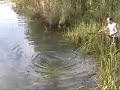 Capturing A Killer Alligator images Capturing A Killer Alligator