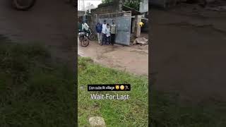 Lion Famly Enter The Home Gir Village Life Lion Conflict Gir Forest Humans Vs Lion Gir