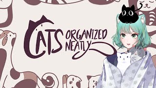 Впихиваем Невпихуемое И Общаемся  — Cats Organized Neatly