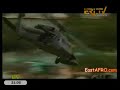 Eritrea News May 29 2013