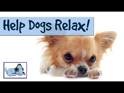 Help dogs relax! Music for puppies or dogs with anxiety or stress: Stop barking, crying, scratching! Help dogs relax! Music for puppies or dogs with anxiety or stress: Stop barking, crying, scratching!