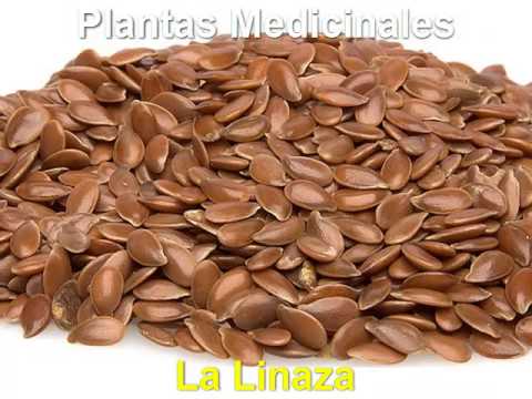 remedios para la inflamacion del estomago - YouTube remedios para la inflamacion del estomago - YouTube