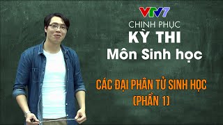 Các đại phân tử sinh học : ADN tồn tại ở đâu? | Chinh phục kỳ thi THPTQG môn Sinh học