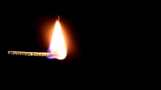 mov_931619