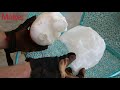 How To Make Skulls Using Old Milk Jugs And A Heat Gun