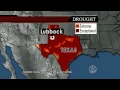 Cotton farmers feel the worst of Texas' drought