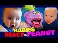 BABIES REACT to PEANUT | JEFF DUNHAM