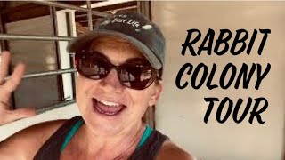 Rabbit Colony Tour 2022. Raising Rex & New Zealand Bunnies For Pet Market & Meat Rabbits. #rabbits