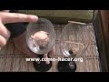 Experimentos caseros sencillos - movimiento mediante sonido