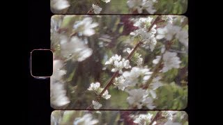 Alison Sudol - Enough Honey Official Video
