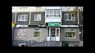 Видео г.Екатеринбург, ул.Техническая 27. "МАГАЗИН ЦВЕТЫ" от LED БАОЛИ, Техническая улица, Екатеринбург, Россия