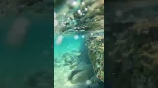 The Beautiful Maditerranean Sea , Sardinia, Italy