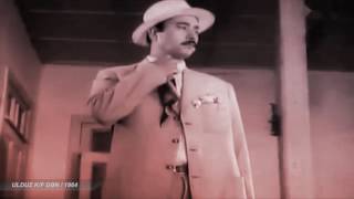Qaytarin Qoyunlari