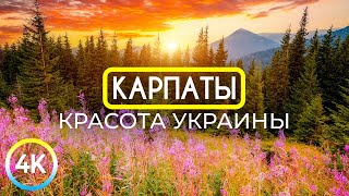 Карпаты - Красота Украины - Документальный Фильм О Культуре И Традициях Края