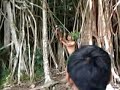 Tarzan Xxx Cianjur images Tarzan Xxx Cianjur