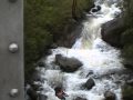 Bungee+jumpers+un+Banos%2C+Ecuador