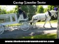 Horse Drawn Funeral Coach -- Horse Drawn Hearse 4 -- Carriage Limousine Service