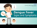 What are the signs and symptoms of dengue fever?