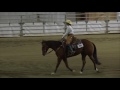 18 05 192 Sandra Kolberg riding Mr Colonel Oakley in the WCRA Open Ranch Riding 17WCC