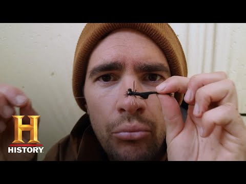 Alone: Joe is an Ecosystem Expert (Season 7) | Exclusive | History
