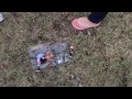 Wife BITCHIN BOUT BURNT BRODUS BITS all over the YARD!! Smashed WWE Elite Figures