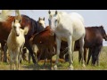 Video Sony HX20V Sample Images - South Dakota (July 2012)