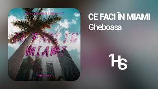 Gheboasa - Ce Faci În Miami | 1 Hour