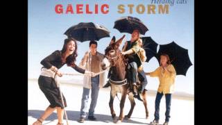 Watch Gaelic Storm The Park East Polkas video
