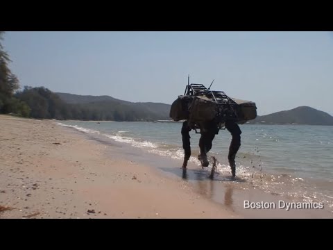 BigDog Beach'n