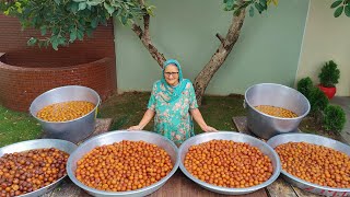 World Gulab Jamun Day Gulab Jamun Making Indian Dessert Veg Village Food